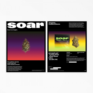 Soar Info Sheets
