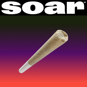 Soar Pre Roll