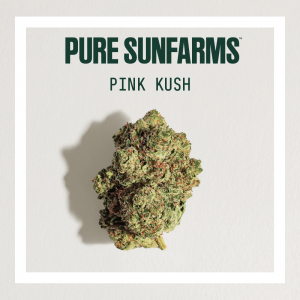 Pink Kush