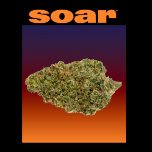 Soar Flower