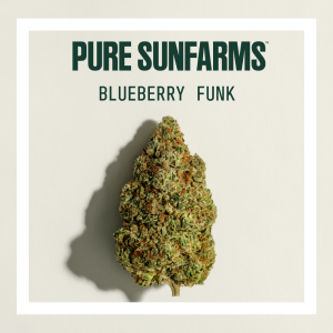 Blueberry Funk