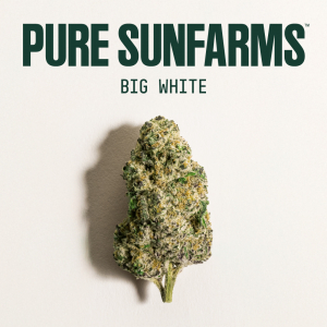 PSF - Big White - Educational Info