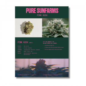 Info Sheets