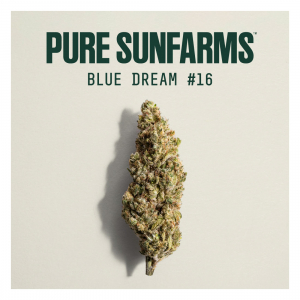 Blue Dream #16