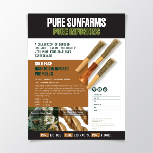 Pure Infusions - Gold Face 3 Pack Info Sheet - Digital