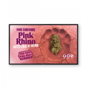 Pink Rhino digital dynamic posters