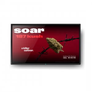 Soar - 187 Kush Digital Static Poster