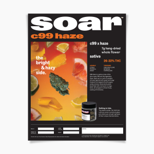 Soar - C99 Haze Digital info sheet
