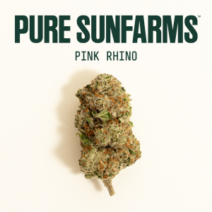 Pink Rhino Education