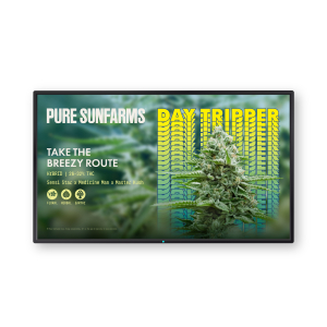 Pure Sunfarms - Daytripper digital dynamic poster