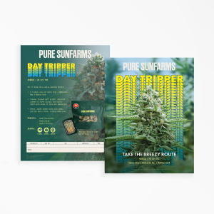 Pure Sunfarms - Daytripper Digital Info Sheet