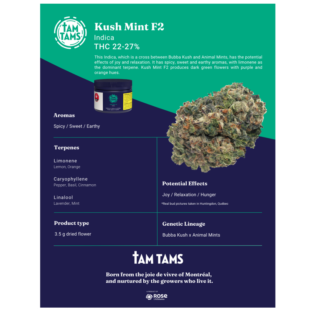 Home / Tam Tams / Tam Tams Kush Mint F2 Digital Sell Sheet